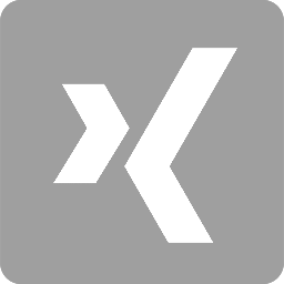 Xing Icon grau/weiß